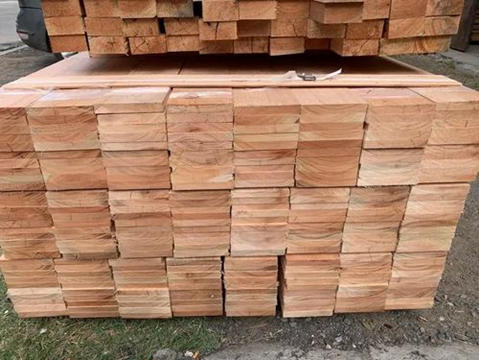 Tablas de Eucalipto - imagen 2