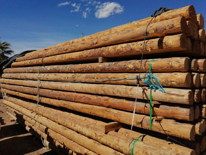 Varas y Rollizos de Eucalipto